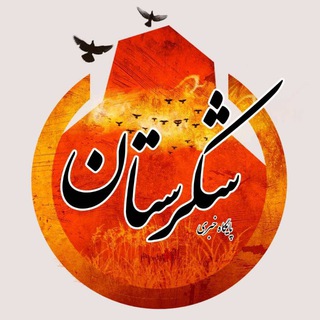 Telegram profile photo for 🔲 پایگاه خبری شکرستان ایلام🔲