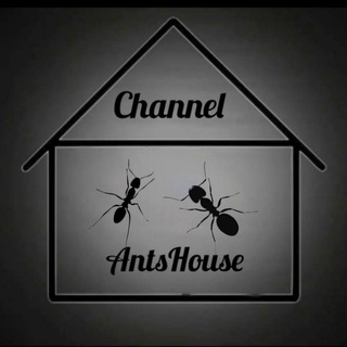 Telegram profile photo for Ant'sHouse