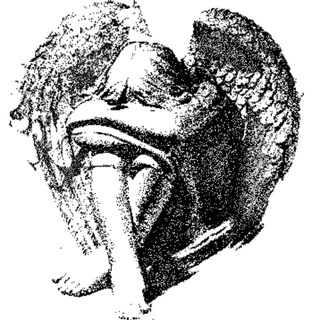Telegram profile photo for Bio