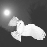 Telegram profile photo for ꩇׁׅ֪݊ ꪱׁׁׁׅׅׅᥣׁׅ֪ƙׁׅꪱׁׁׁׅׅׅׅ꯱_𓆪🪶 ПЕРЕЕЗД
