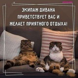 Telegram profile photo for Нам с дивана виднее