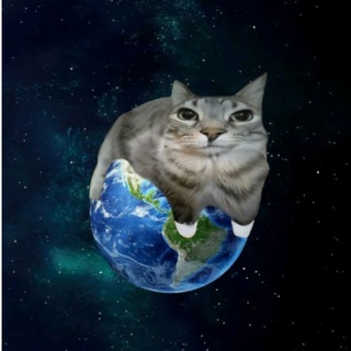 Telegram profile photo for Meme Space
