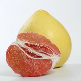 Telegram profile photo for Feedback Pomelo