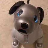 Telegram profile photo for Cyber Portal