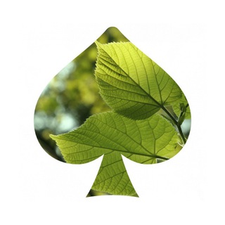 Telegram profile photo for Пикантная липа