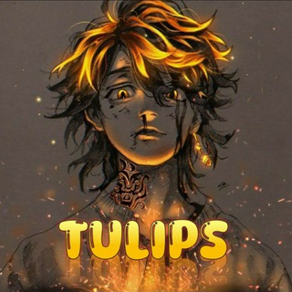 Telegram profile photo for TULIPS MOD