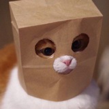 Telegram profile photo for Киселёв ворует мемы