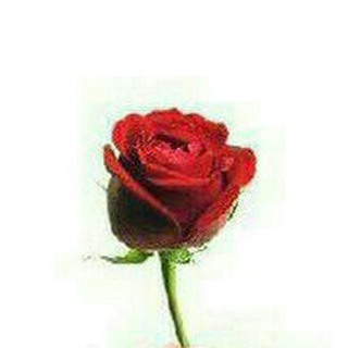 Telegram profile photo for عکس ، پروفایل ، جدید ، والپیپر ، تم ، تلگرام ، دانلود ، پسرونه ، دخترونه ، موزیک ، ملوبات ، آهنگ ، سریال ، فیلم profile ، music