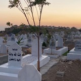 Telegram profile photo for لـ فقيدي