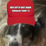 Telegram profile photo for Dornaldo Tromp
