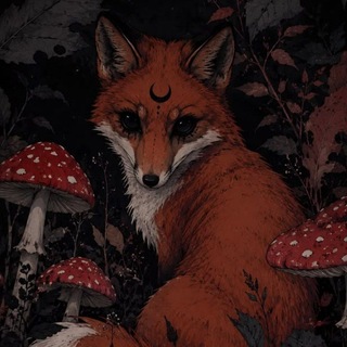 Telegram profile photo for Лисъя Навъ