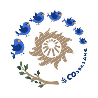 Telegram profile photo for СОзвездие