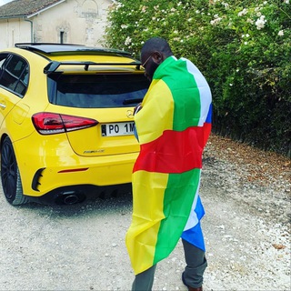 Telegram profile photo for Sa majesté