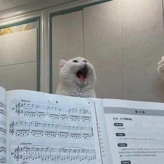 Telegram profile photo for 🎼Вокальные беруши🎤