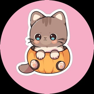 Telegram group profile photo for Pump Community