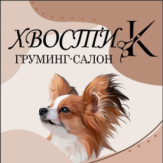 Telegram profile photo for ХвостиК. Стрижка собак и кошек. Уфа