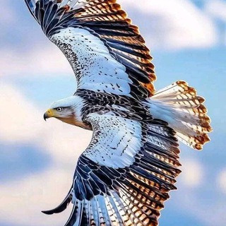 Telegram profile photo for جـمـال الـروح 🤍