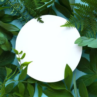 Telegram profile photo for Что там с экологией?
