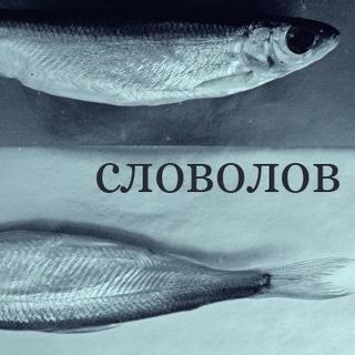 Telegram profile photo for Словолов