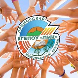 Telegram profile photo for Приморский индустриальный колледж