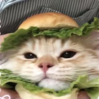 Telegram profile photo for что я наклацала