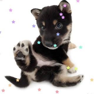 Telegram profile photo for Kit
