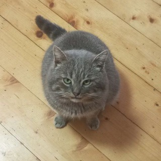 Telegram profile photo for Меня в детстве били щп
