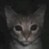 Telegram profile photo for геролин