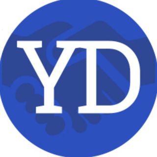 Telegram profile photo for The Youth Diplomacy