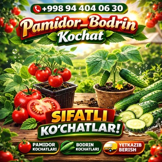Telegram profile photo for Pamidor Bodring ko’chatlar