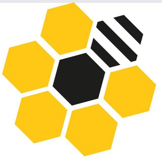 Telegram profile photo for زنبورداری تخصصی زیر نظر استاد حسین یگانه راد Specialized beekeeping under the supervision of Professor Hossein Yeganeh Rad