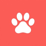 Telegram profile photo for FoundPets.Ru: Крупнейшая база пропавших и найденных животных России