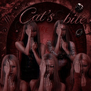 Telegram profile photo for 𝘾𝘼𝙏𝙎 .•°𝘽𝙄𝙏𝙀/✞ ᶜᵛᵍ