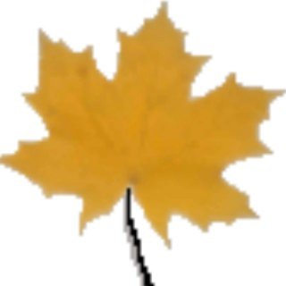 Telegram profile photo for Yellow Leaf