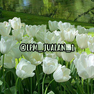 Telegram profile photo for LPM JUALAN