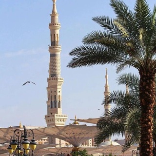 Telegram profile photo for رُكْنِيـَّـةُ العِلْــــــــمِ وَ الأَدَبِ'