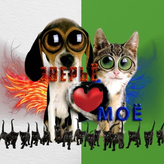 Telegram profile photo for Зверьё моё