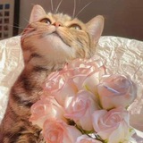 Telegram profile photo for لُـؤلُـؤة الـسَّـلام 💗🫂.
