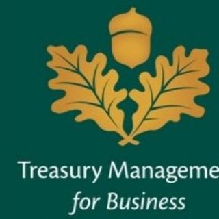 Telegram profile photo for Treasury& Banking Sector