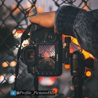 Telegram profile photo for Best Profile Pictures📸💯