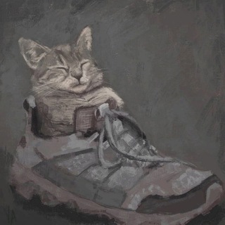 Telegram profile photo for Тохины репосты