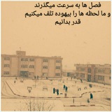 Telegram profile photo for دانشجویان پیام نور