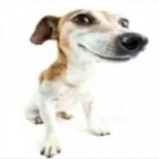 Telegram profile photo for Info about Vp/advertising