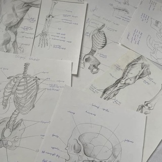 Telegram profile photo for سنة ثالثة طب l طالب علم