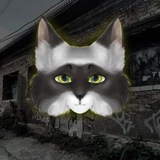 Telegram profile photo for ♱ ᴄᴏʟᴇᴛᴛᴇ• ᴄᴀᴛᴢᴢ ✟