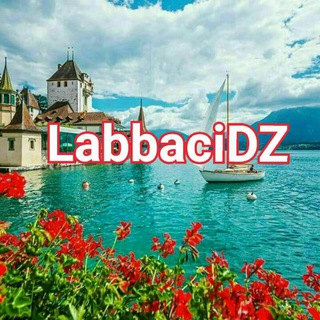 Telegram profile photo for Labbaci DZ
