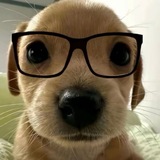 Telegram profile photo for 落敌(只推稳定项目)