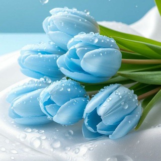 Telegram profile photo for الا بذكر الله تطمئن القلـوب 🌧🩵.