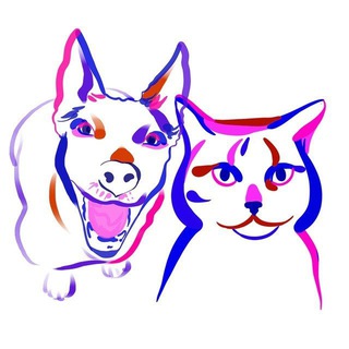 Telegram group profile photo for Чат Надо брать!