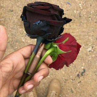 Telegram profile photo for كشكول شبواني⁶⁰⁴